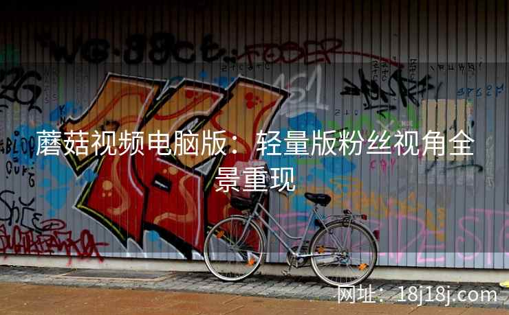 蘑菇视频电脑版：轻量版粉丝视角全景重现  第1张