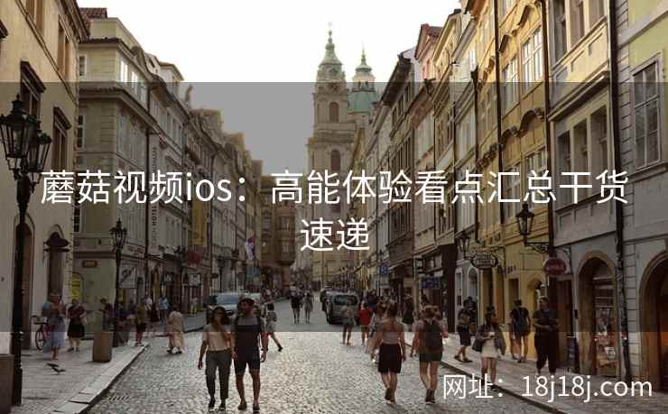 蘑菇视频ios：高能体验看点汇总干货速递  第1张