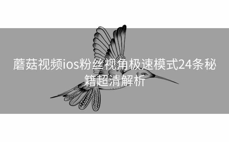 蘑菇视频ios粉丝视角极速模式24条秘籍超清解析