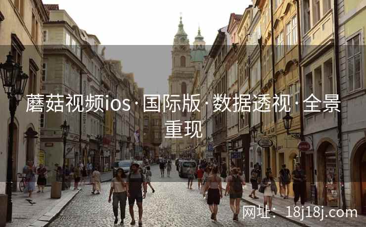 蘑菇视频ios·国际版·数据透视·全景重现