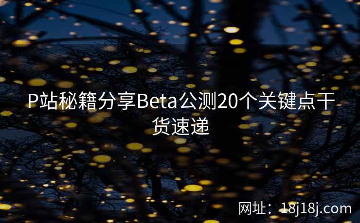 P站秘籍分享Beta公测20个关键点干货速递
