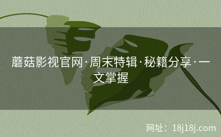 蘑菇影视官网·周末特辑·秘籍分享·一文掌握