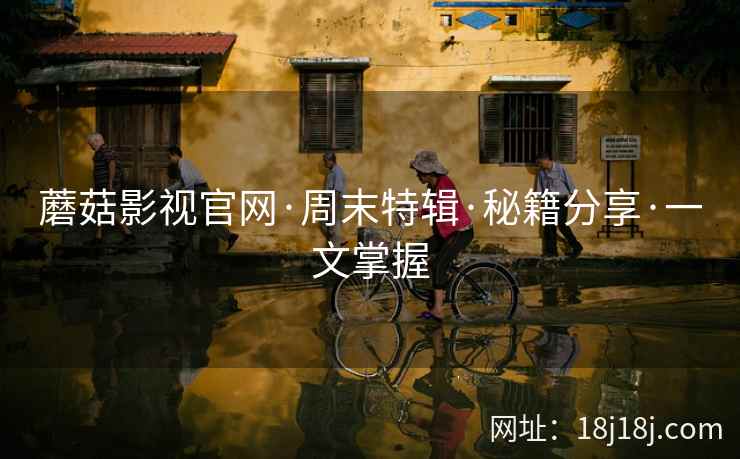 蘑菇影视官网·周末特辑·秘籍分享·一文掌握