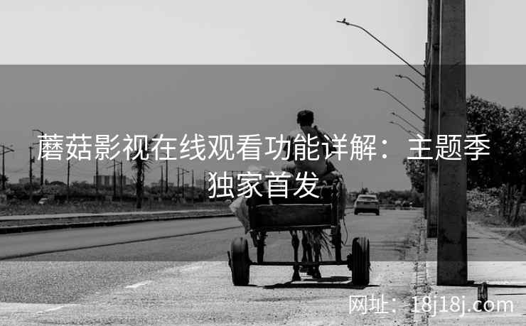 蘑菇影视在线观看功能详解：主题季独家首发