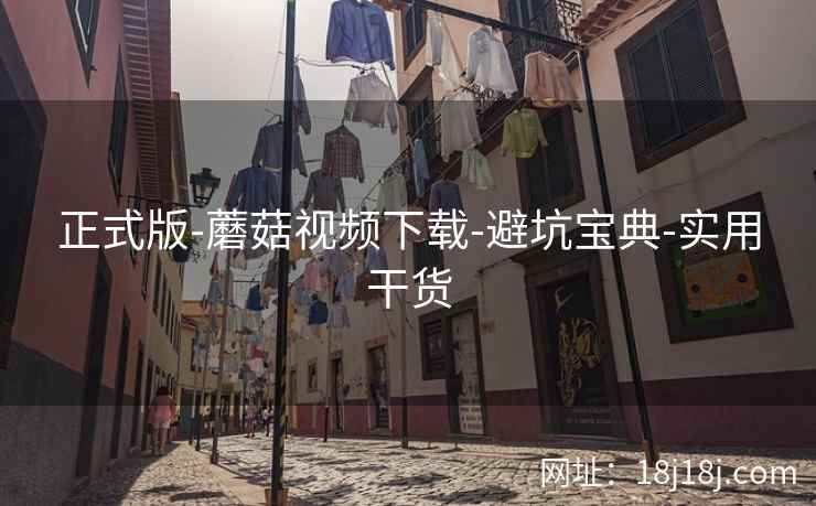 正式版-蘑菇视频下载-避坑宝典-实用干货
