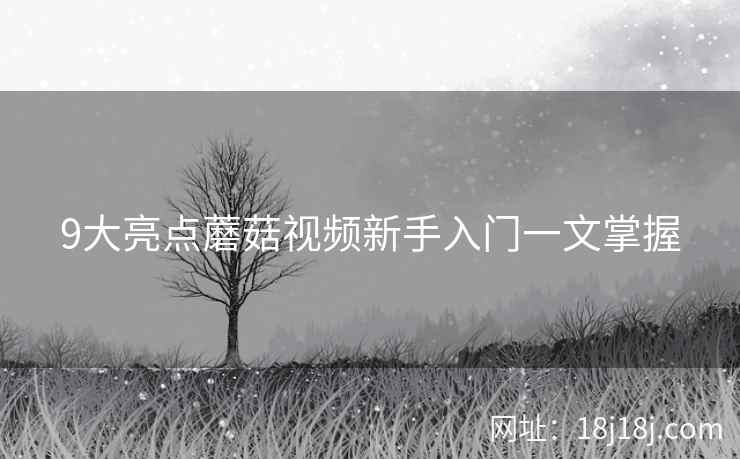 9大亮点蘑菇视频新手入门一文掌握