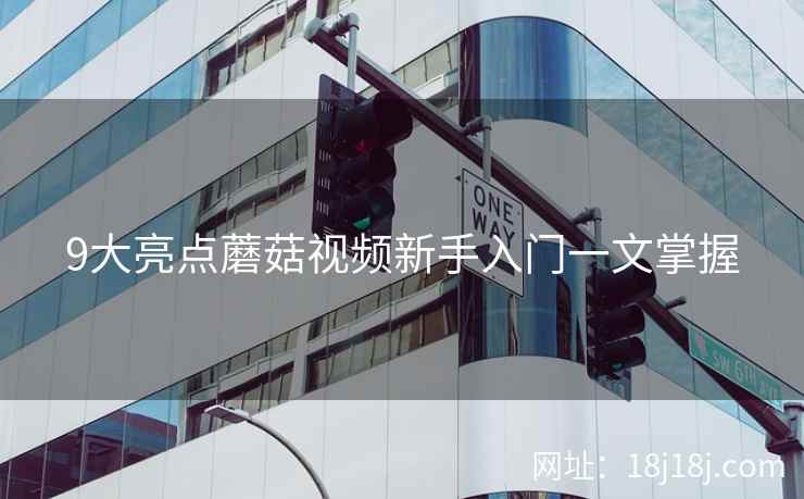 9大亮点蘑菇视频新手入门一文掌握