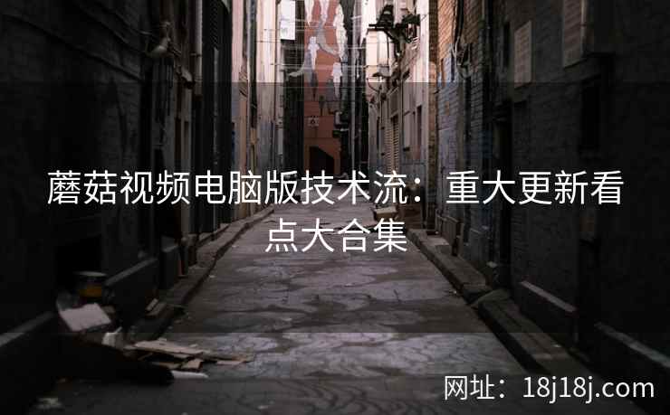 蘑菇视频电脑版技术流：重大更新看点大合集