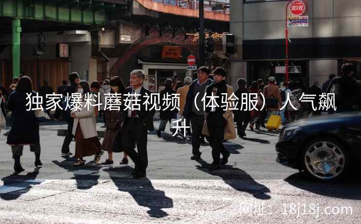 独家爆料蘑菇视频（体验服）人气飙升