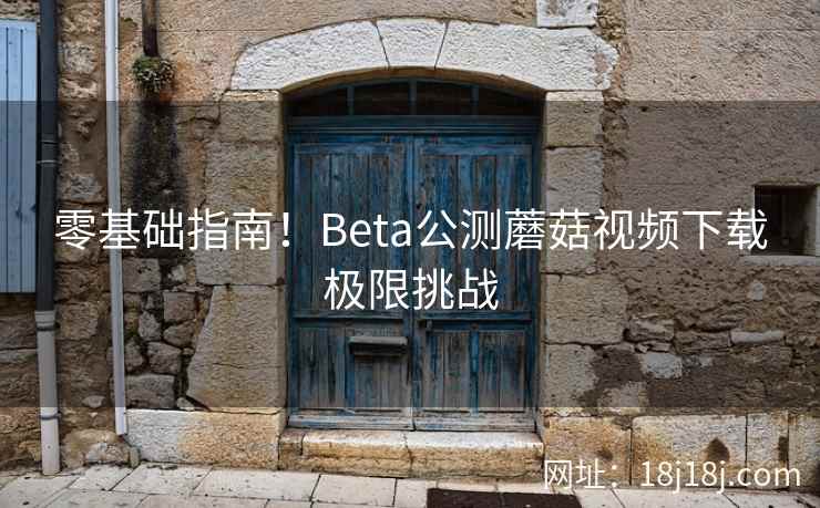 零基础指南！Beta公测蘑菇视频下载极限挑战
