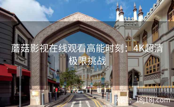 蘑菇影视在线观看高能时刻：4K超清极限挑战