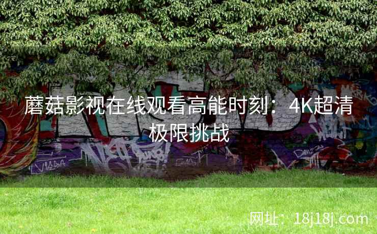 蘑菇影视在线观看高能时刻：4K超清极限挑战