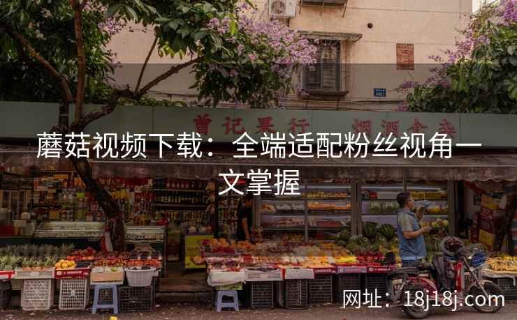蘑菇视频下载：全端适配粉丝视角一文掌握