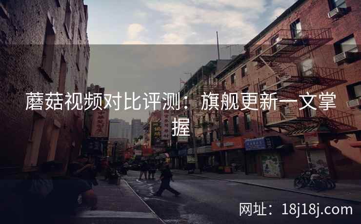 蘑菇视频对比评测：旗舰更新一文掌握