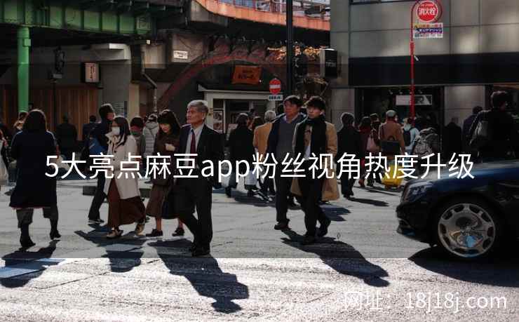 5大亮点麻豆app粉丝视角热度升级
