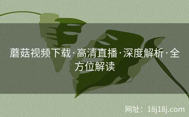 蘑菇视频下载·高清直播·深度解析·全方位解读