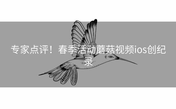 专家点评！春季活动蘑菇视频ios创纪录